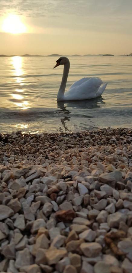 Vila Sentio Mare-Apartments Livaic Zeljko Pirovac Dış mekan fotoğraf
